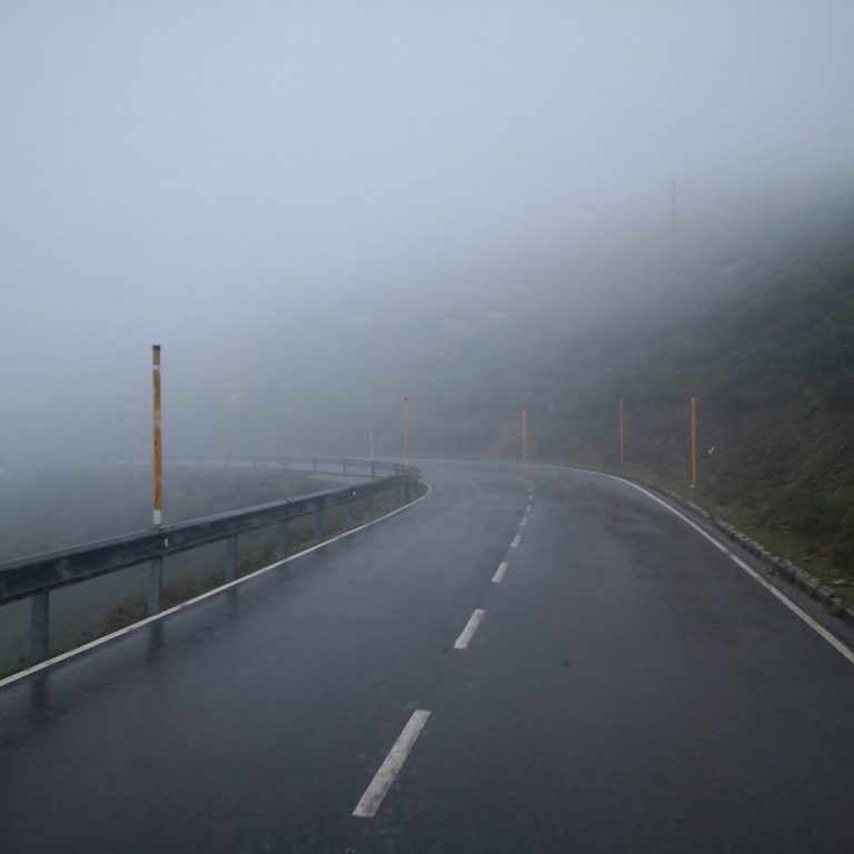 IMG 20201006 135431 768x768