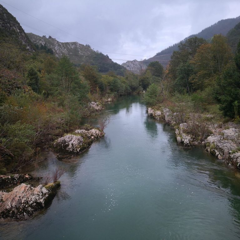 IMG 20201010 161034 768x768