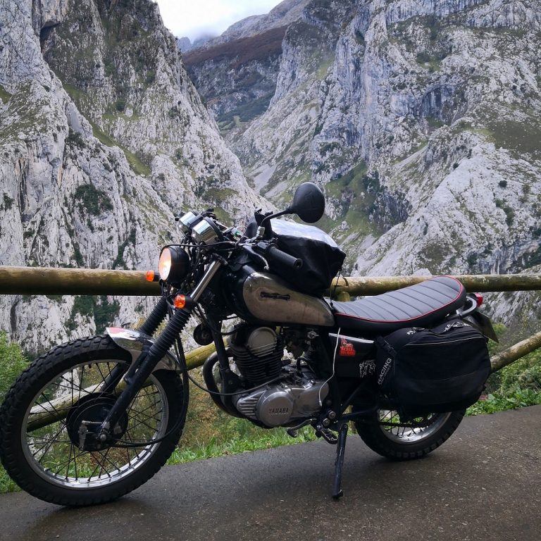 IMG 20201011 171207 768x768