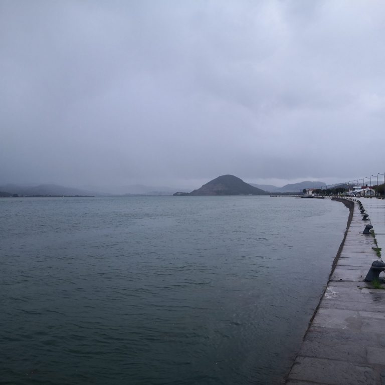 IMG 20201014 142849 768x768