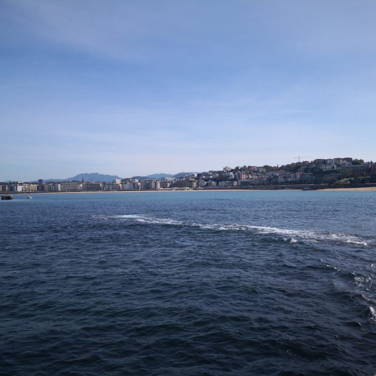 IMG 20201017 141830 768x768