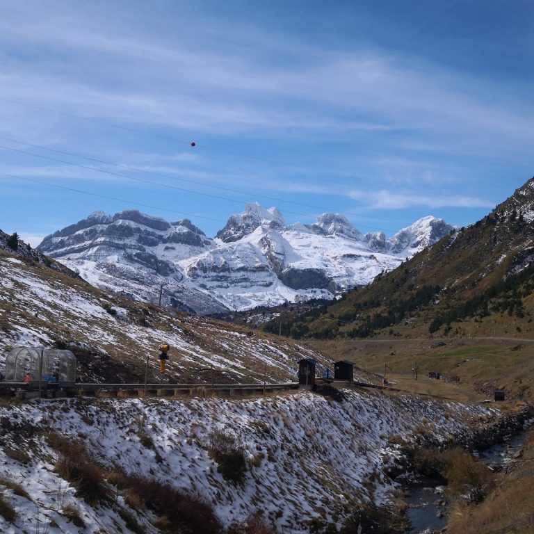 IMG 20201018 125756 768x768