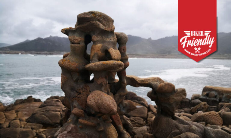 MAn o aleman de camelle 3 1 768x459