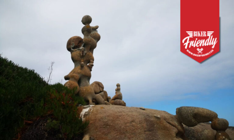 MAn o aleman de camelle 5 1 768x459