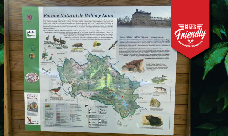 Puente ingeniero Carlos 5 768x459