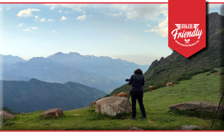 mirador del oso 6 1 768x459