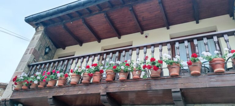 pena sagra 2 768x346