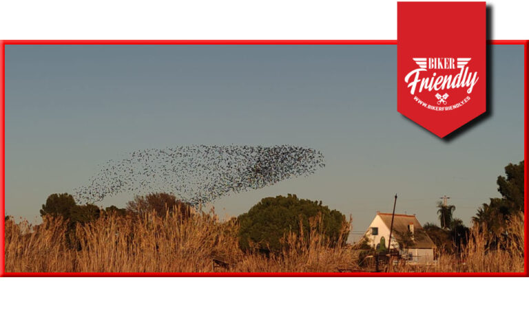 mc charly 2 copia 768x461