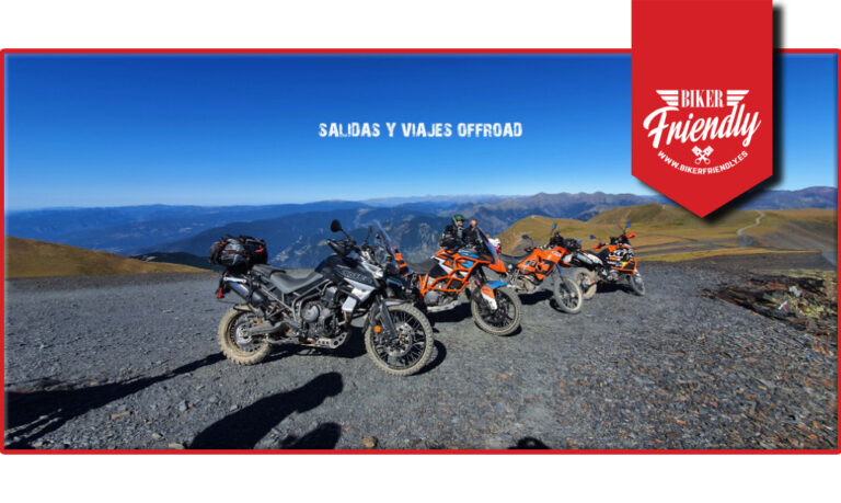 zona terra 5 768x459