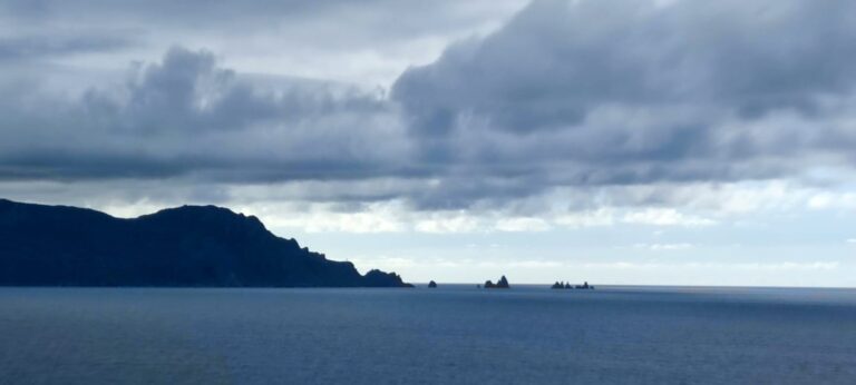 WhatsApp Image 2022 08 10 at 11.57.07 AM 768x346