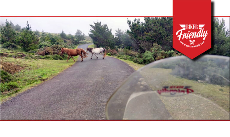 mirador limo 2 768x459