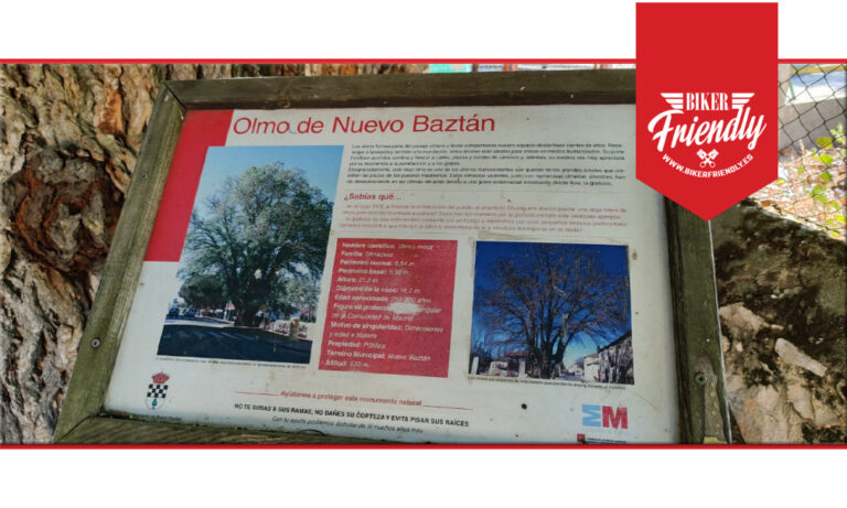 Olmo de Nuevo Baztan 2 768x461