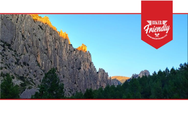 organos de montoro 2 768x461