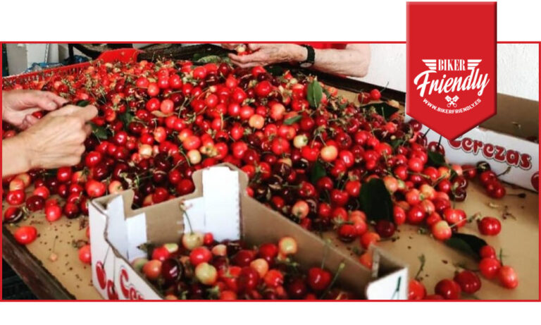 Sierra de Francia 8 768x461