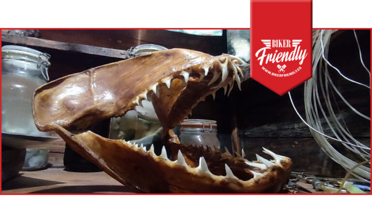 Barco Bonitero 2 768x461