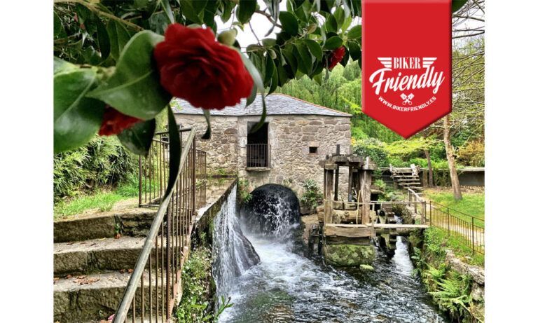 Finca Galea  768x461