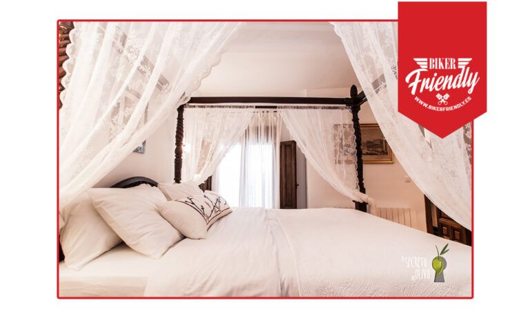 El secreto del olivo 7 768x461