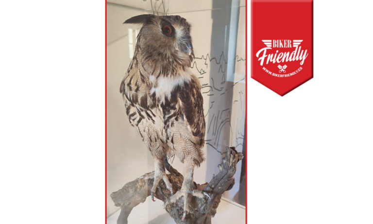 Centro de interpretacion canon rio lobos 11 768x461