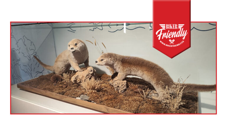 Centro de interpretacion canon rio lobos 12 768x461