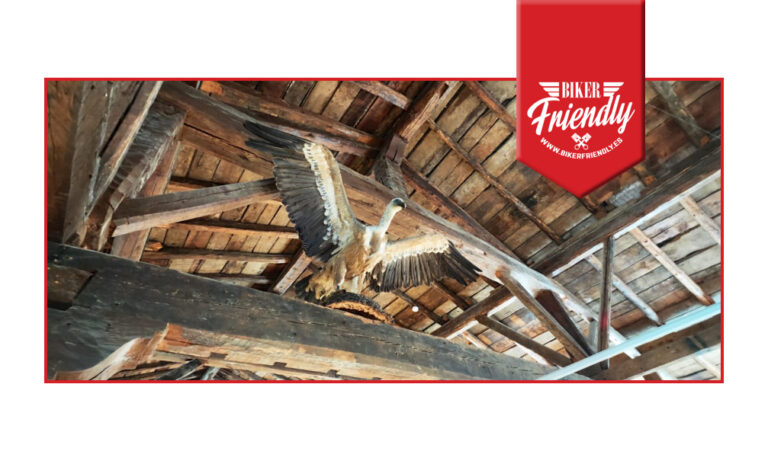 Centro de interpretacion canon rio lobos 3 768x461