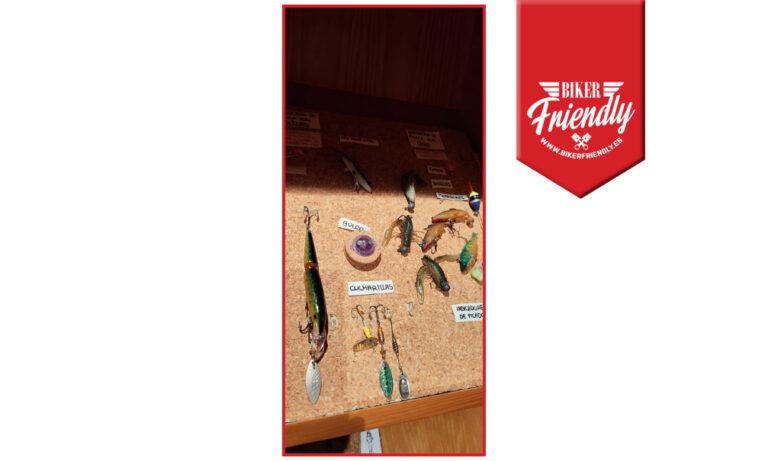 Centro de interpretacion canon rio lobos 8 768x461