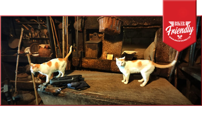 palloza piornedo 4 768x461