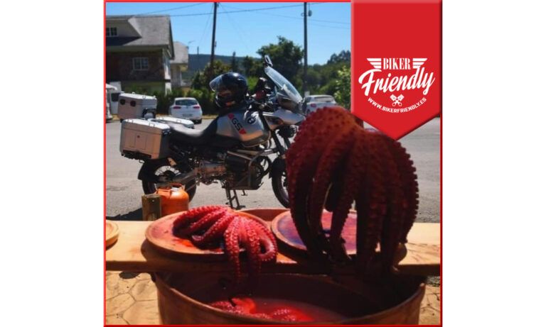 pulpeira macineiras 2 5 768x461