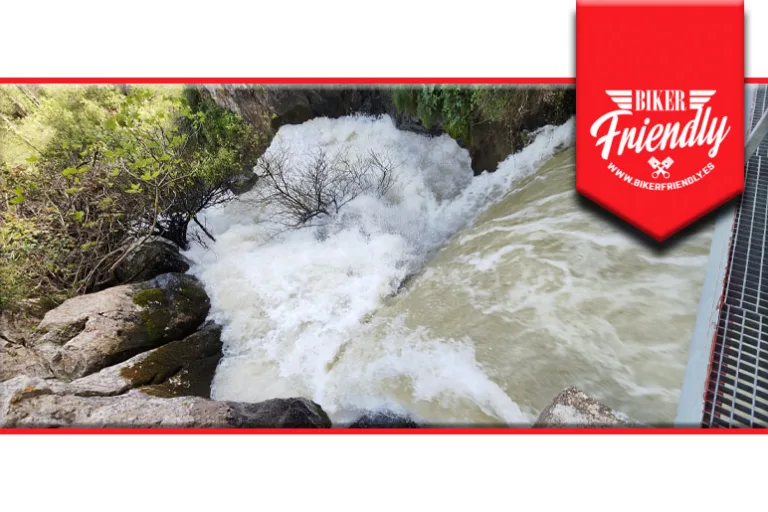 cueva gato 4 768x512