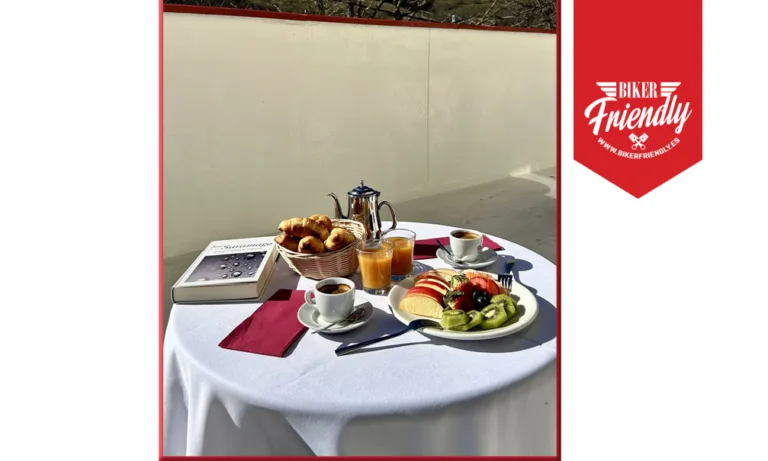 bicis y vacas 4 768x461